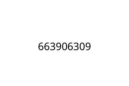 663906309