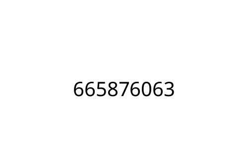 665876063