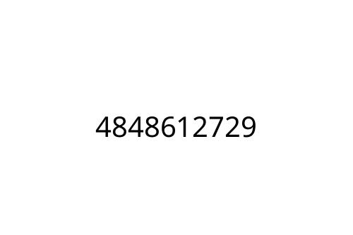 4848612729