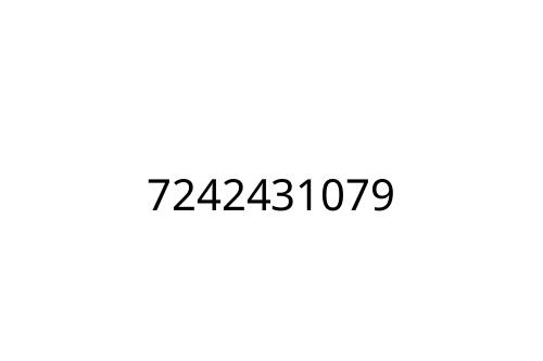 7242431079