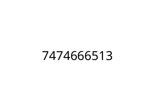 7474666513