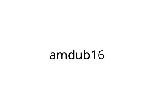 amdub16