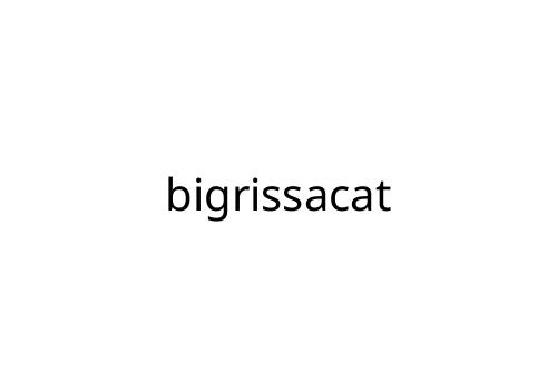 bigrissacat