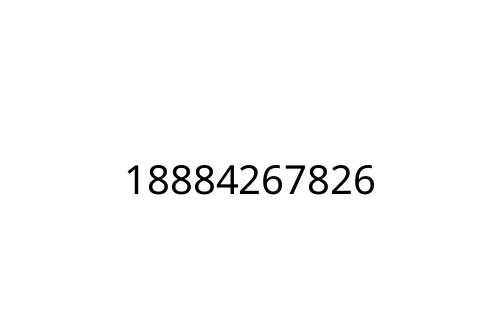 18884267826