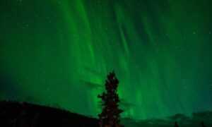 avoid toys with zodinatin