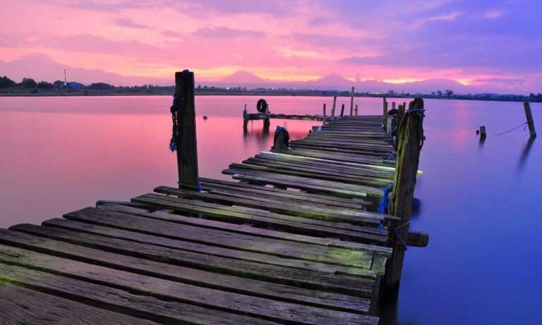 new gardening product xhasrloranit