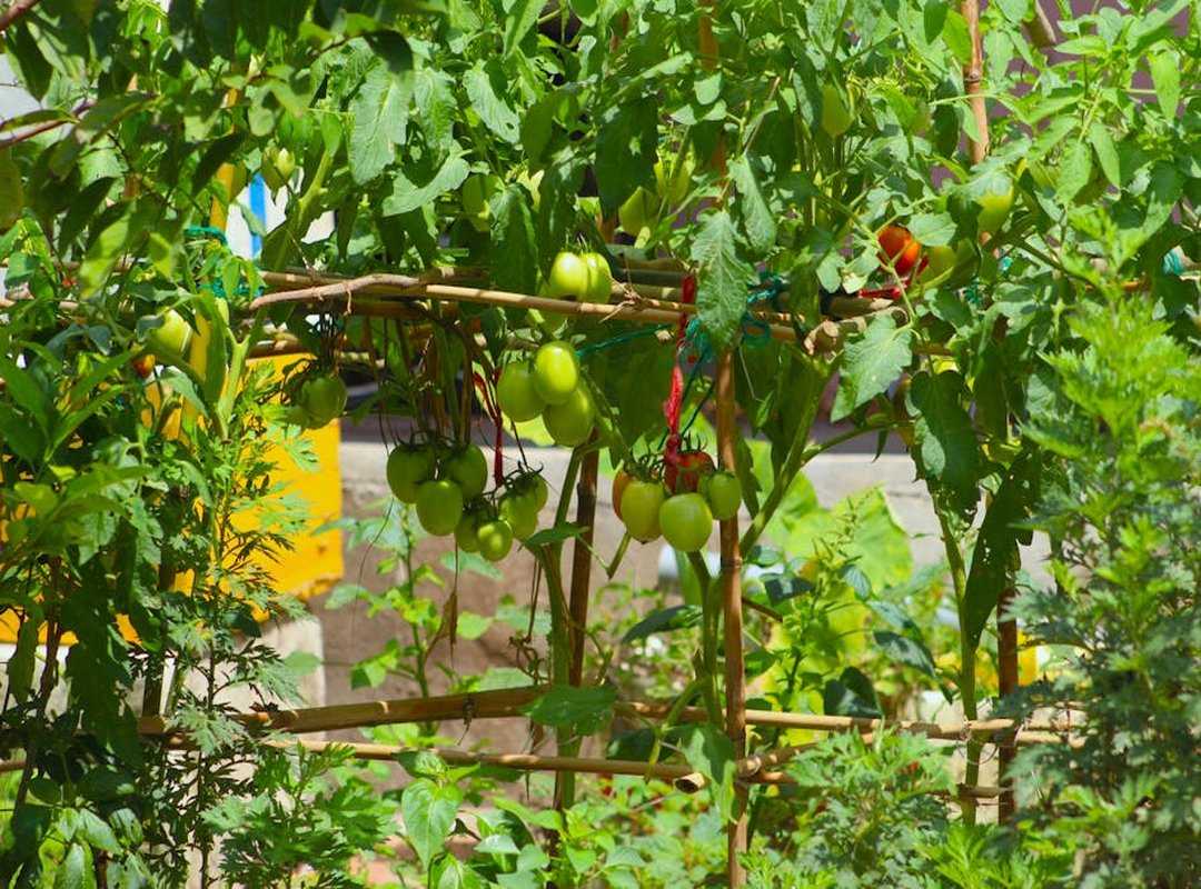 Ideas for Landscaping Kdarchistyle