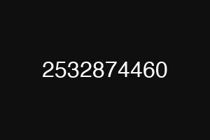 2532874460