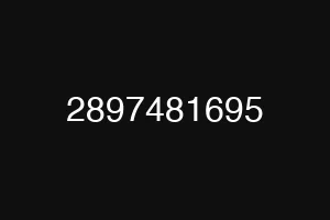 2897481695
