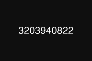 3203940822