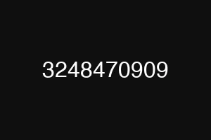 3248470909