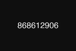 868612906