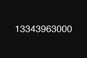 13343963000