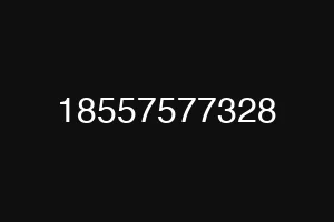 18557577328
