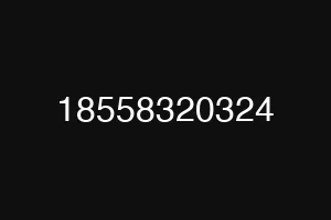 18558320324
