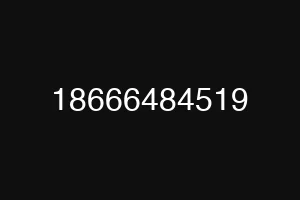 18666484519