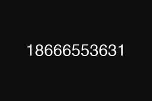 18666553631