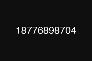 18776898704