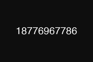 18776967786