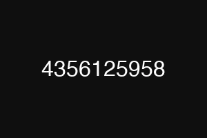 4356125958