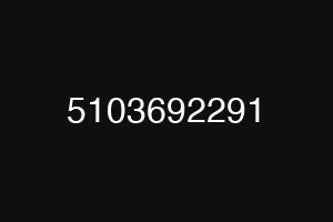 5103692291