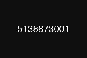 5138873001