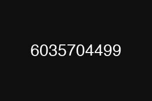 6035704499