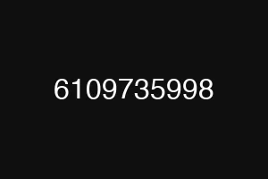 6109735998