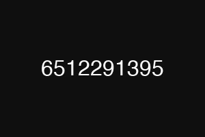 6512291395