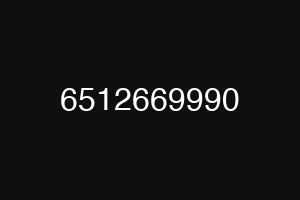 6512669990