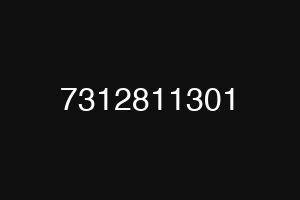 7312811301