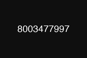 8003477997