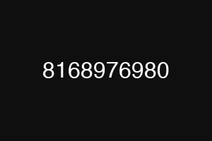 8168976980