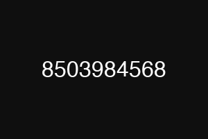 8503984568