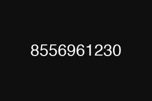 8556961230