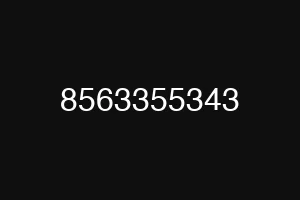 8563355343