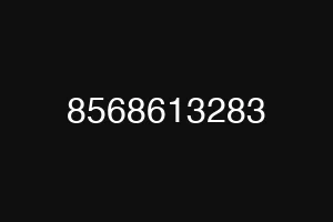 8568613283