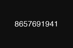 8657691941