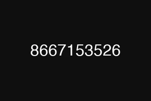 8667153526
