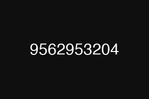 9562953204